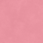 sw flamingo 1