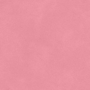 sw flamingo 1