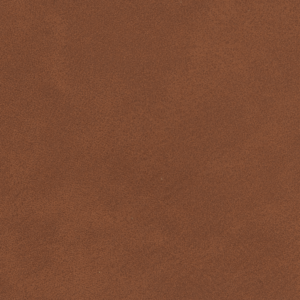 sw rawhide