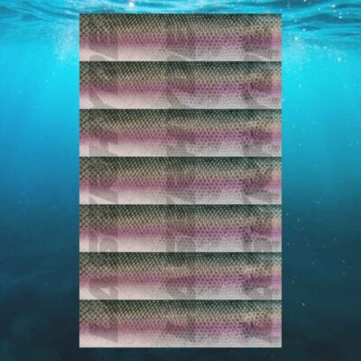 Rainbow Trout Printed Leatherette Sheets