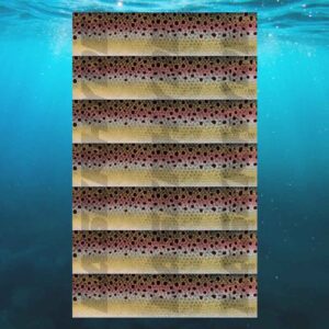 Cutthroat Trout Printed Leatherette Sheets 12x20